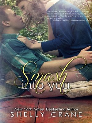 cover image of Smash Into You